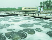 污水處理案例